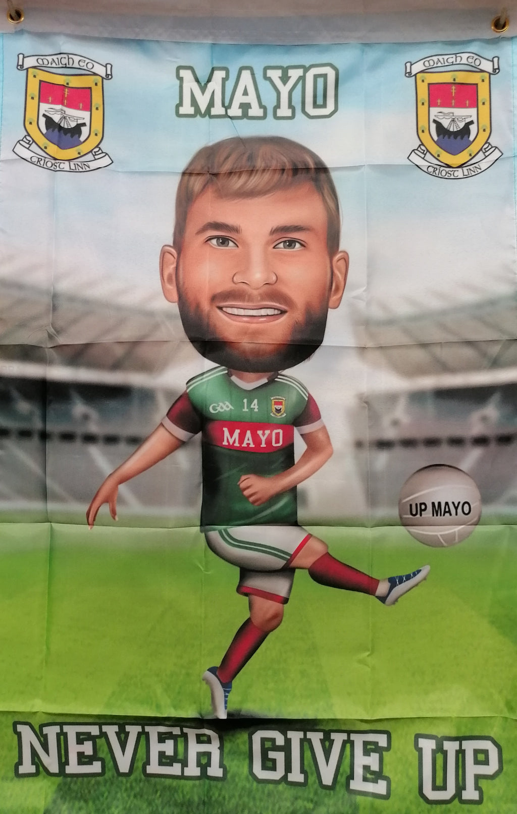 Aiden ó shea mayo