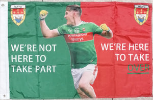 james carr mayo flag
