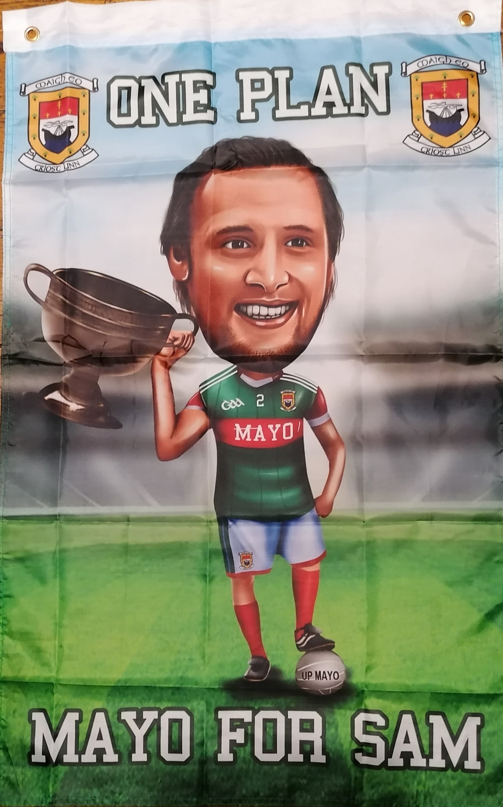 One Plan Mayo For Sam flag